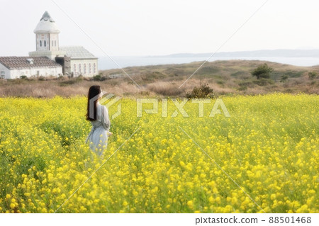 Nature's Island, Springtime Trip Nature's Island, Springtime Trip 88501468