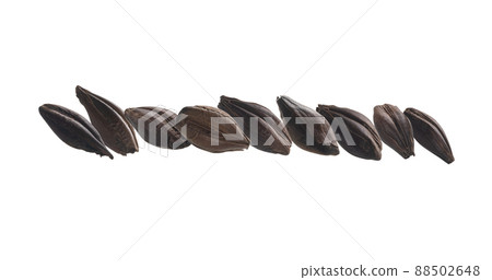 Roasted rye malt grains levitate on a white background Roasted rye malt grains levitate on a white background 88502648