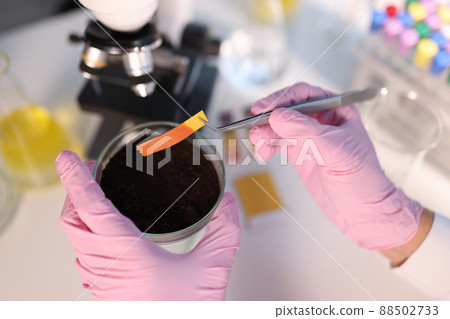 PH test strip and soil study in laboratory closeup PH test strip and soil study in laboratory closeup 88502733