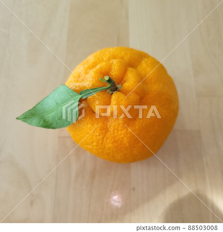 Hanbalong Hanbalong 88503008