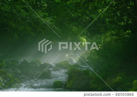 木曾川流域的霧霾山澗 88503868
