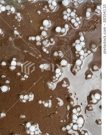Hail that fell on the tile Hail that fell on the tile 88504110