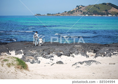 Jeju travel, beach, family 88504994