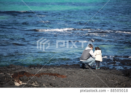 Jeju travel, beach, family Jeju travel, beach, family 88505018