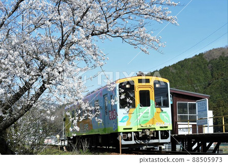 櫻花本地線 櫻花本地線 88505973