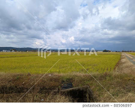 多雲的田園風光（新潟縣） 88506897