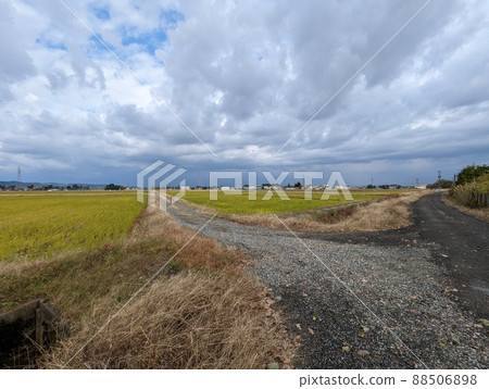 Rural scenery in a cloudy sky (Niigata Prefecture) Super wide-angle 88506898