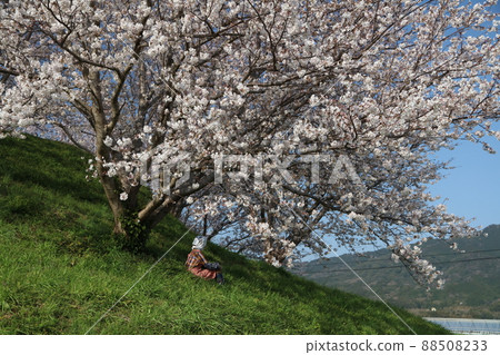 Sakura Hatayama Kofun, 福岡縣糸島市, 女 88508233