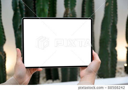 Woman hands holding digital tablet touchpad over blurred indoor cactus garden 88508242