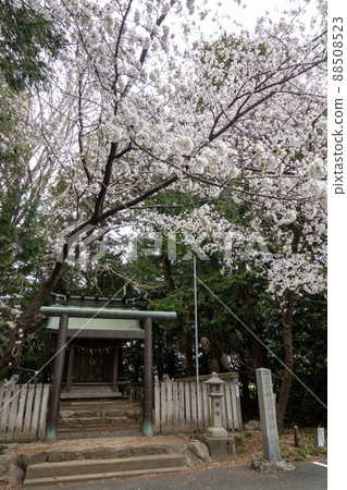 [Aichi Prefecture] Toga Shrine 88508523