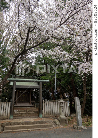 [Aichi Prefecture] Toga Shrine 88508524