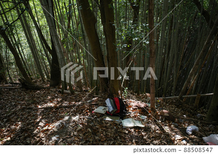 非法傾銷 非法傾銷 88508547