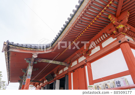 六原光寺春季[2022，京都] 88509177