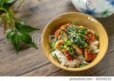 日式料理 Hitsumabushi 日式料理 Hitsumabushi 88509232