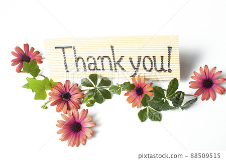 Thanks message card 88509515