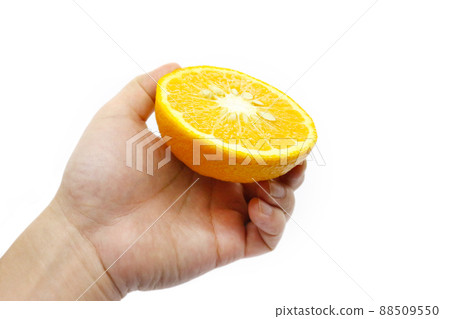 拿在手裡的夏大台（夏見館） 88509550