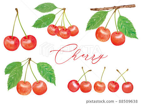 可愛的櫻桃手繪插圖集 88509638