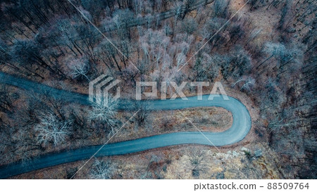 Narrow road in misty forest, aerial view. 88509764