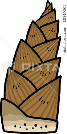Bamboo shoot illustration material 88510305