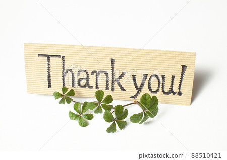 Message card and plants Message card and plants 88510421