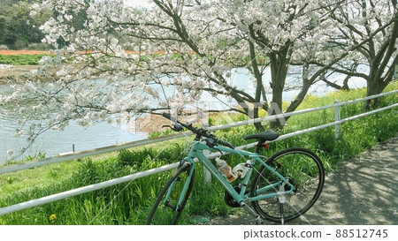 Memories of going to Chiba Hanamigawa Cycling Road on a cross bike to see the cherry blossoms in full bloom Memories of going to Chiba Hanamigawa Cycling Road on a cross bike to see the cherry blossoms in full bloom 88512745