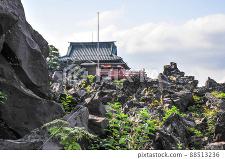 Summer Onioshidashi Garden Summer Onioshidashi Garden 88513236