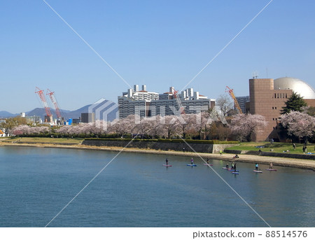 和平公園元安川 88514576