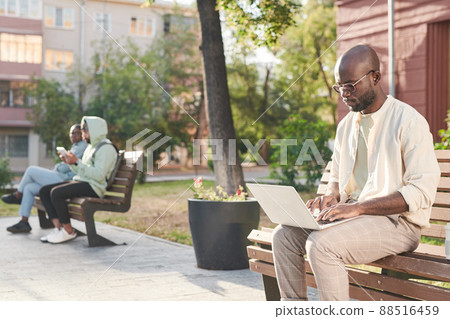 Concentrated young Black man in eyeglasses sitting on bench and working with laptop outdoors 88516459