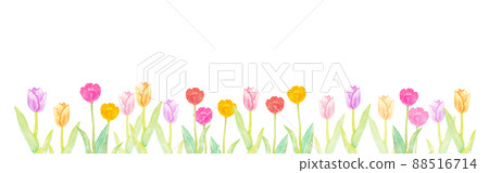 Illustration material: Banner of tulip field in full bloom hand-painted with watercolors / with copy space 88516714