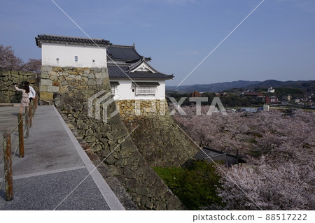 “鶴山公園（津山城堡）”，岡山縣津山市最著名的100個櫻花景點之一：賓納卡山口 88517222