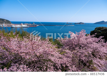 Aburatsu Port and Nanatsuiwa seen from the cherry blossoms in Umegaoka, Nichinan City, Miyazaki Prefecture 88517436
