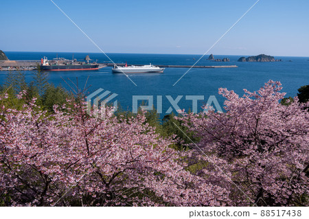 Aburatsu Port and Nanatsuiwa seen from the cherry blossoms in Umegaoka, Nichinan City, Miyazaki Prefecture 88517438