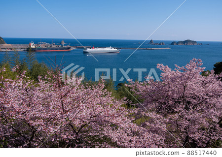 Aburatsu Port and Nanatsuiwa seen from the cherry blossoms in Umegaoka, Nichinan City, Miyazaki Prefecture 88517440
