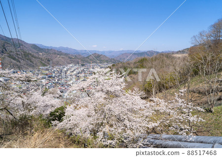 鶴市站側登山口附近的櫻花（鶴阿爾卑斯山） 88517468