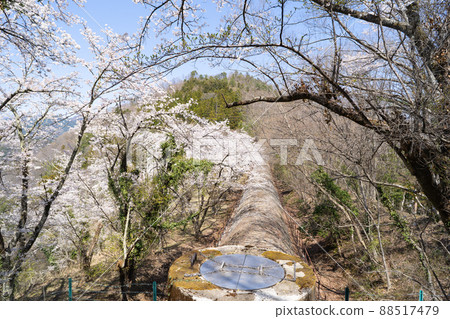 Sakura and Aqueduct on the mountain trail from Mt. Tenjin to Mt. Choanji (Tsuru Alps) Sakura and Aqueduct on the mountain trail from Mt. Tenjin to Mt. Choanji (Tsuru Alps) 88517479