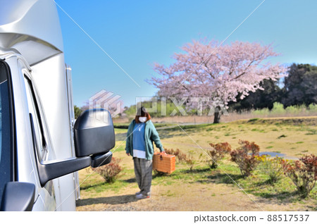 A woman enjoying the outdoors in a cherry blossom park A woman enjoying the outdoors in a cherry blossom park 88517537
