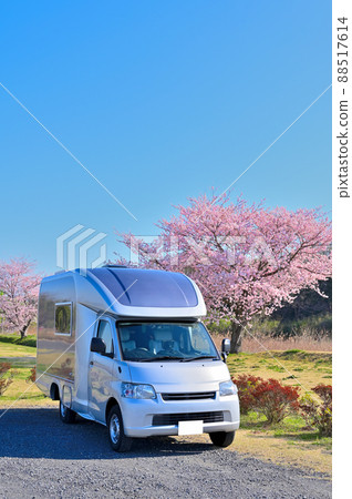 Cherry blossoms in full bloom and camper Cherry blossoms in full bloom and camper 88517614