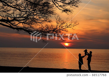 Awajishima evening view and a serious parent and child Awajishima evening view and a serious parent and child 88517768