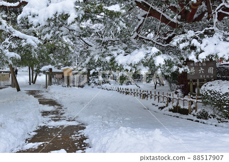 金澤市兼六園雪景 金澤市兼六園雪景 88517907