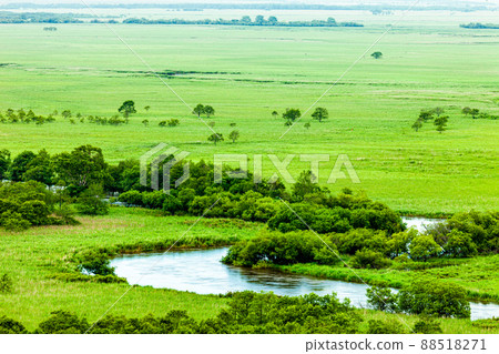 [Kushiro Wetland, Hokkaido] View from Hosooka Observatory July 88518271
