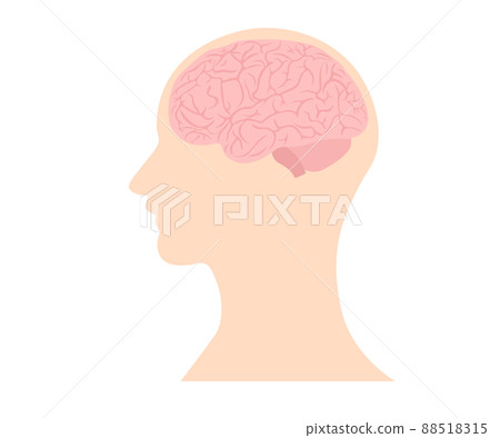 Brain Miso Brain 88518315