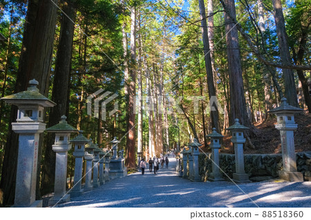 The approach to Mitsumine Shrine, Chichibu City, Saitama Prefecture The approach to Mitsumine Shrine, Chichibu City, Saitama Prefecture 88518360
