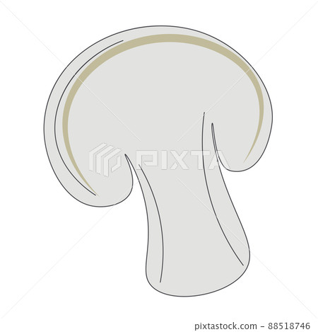 Champignon hand drawn vector illustration 88518746