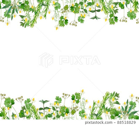 流行柔和色彩的斯堪的納維亞草本時尚水彩植物的白色背景矢量框架插圖素材 88518829