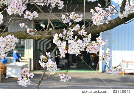 赤堀川之泉 埼玉縣岡川市 忍津櫻潼和工業園區 88518941
