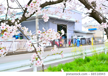 赤堀川之泉 埼玉縣岡川市 忍津櫻潼和工業園區 赤堀川之泉 埼玉縣岡川市 忍津櫻潼和工業園區 88518943