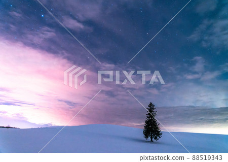 《Hokkaido》 Starry sky and Christmas tree, Biei in winter 《Hokkaido》 Starry sky and Christmas tree, Biei in winter 88519343