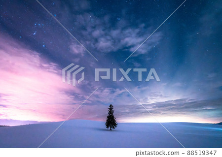 《北海道》星空和聖誕樹，冬天的美瑛 88519347