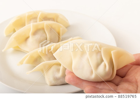 Gyoza Gyoza 88519765