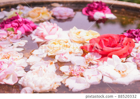 Flowers floating on the water 88520332